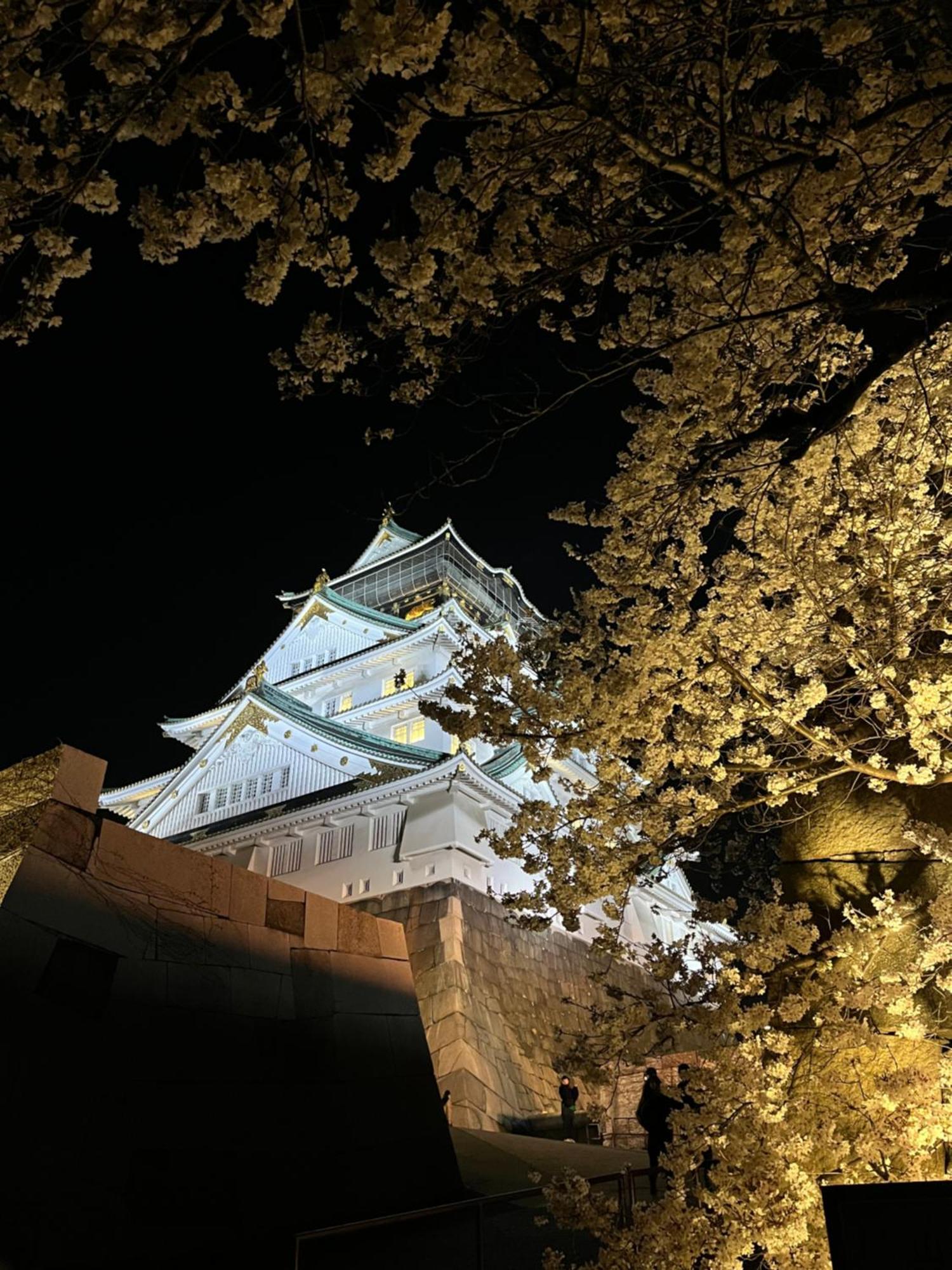 Guesthouse Atelier Ten 民泊アトリエ天 Osaka Exterior photo